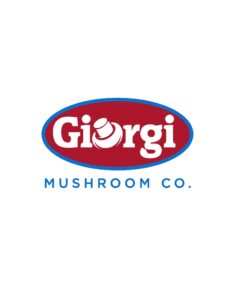 067 Giorgi Mushroom